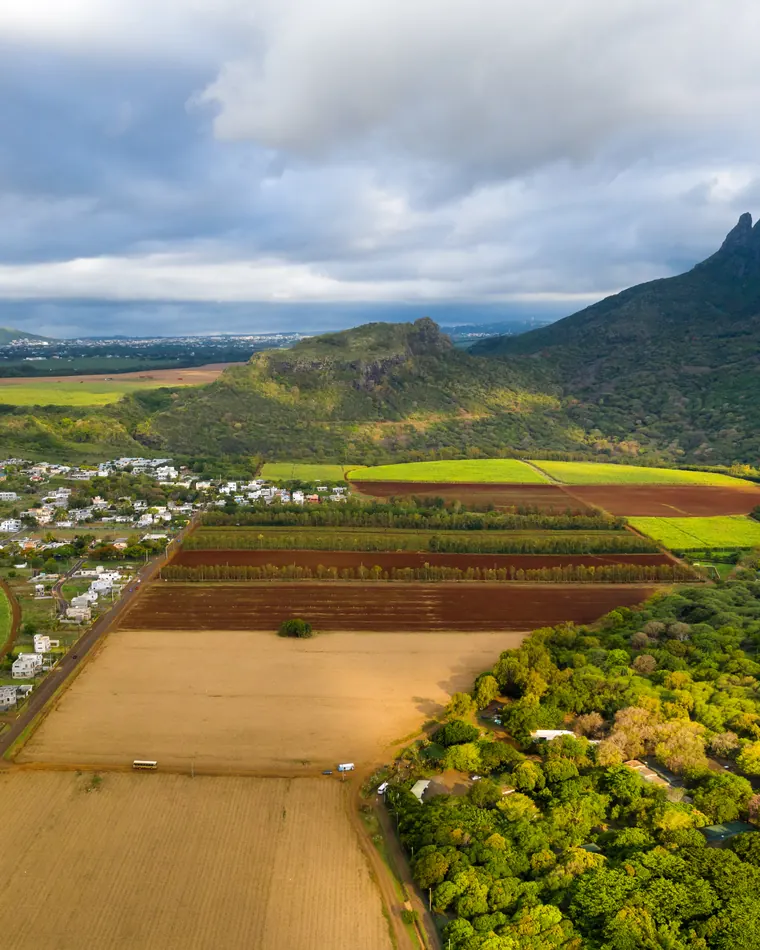Aerial view of fields and plots in Mauritius, at the foot of a mountain